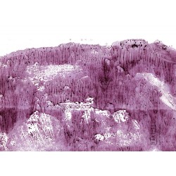 camí de la Llisera a vista d’ocell · Albarca · Pintura amb vi